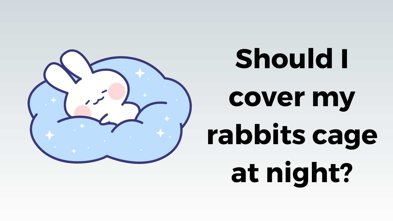 Should I cover my rabbits cage at night
