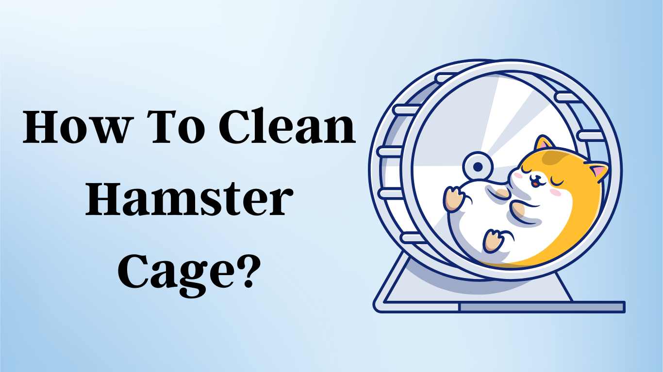 How To Clean Hamster Cage