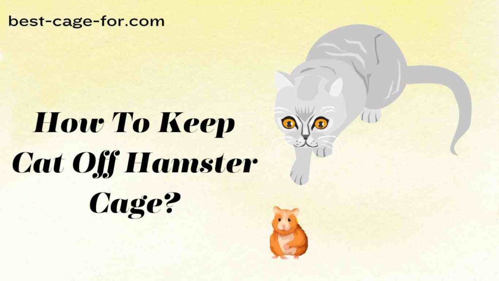 How To Keep Cat Off Hamster Cage