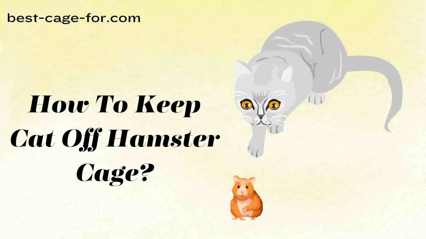 How To Keep Cat Off Hamster Cage